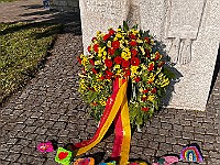 IMG 7187